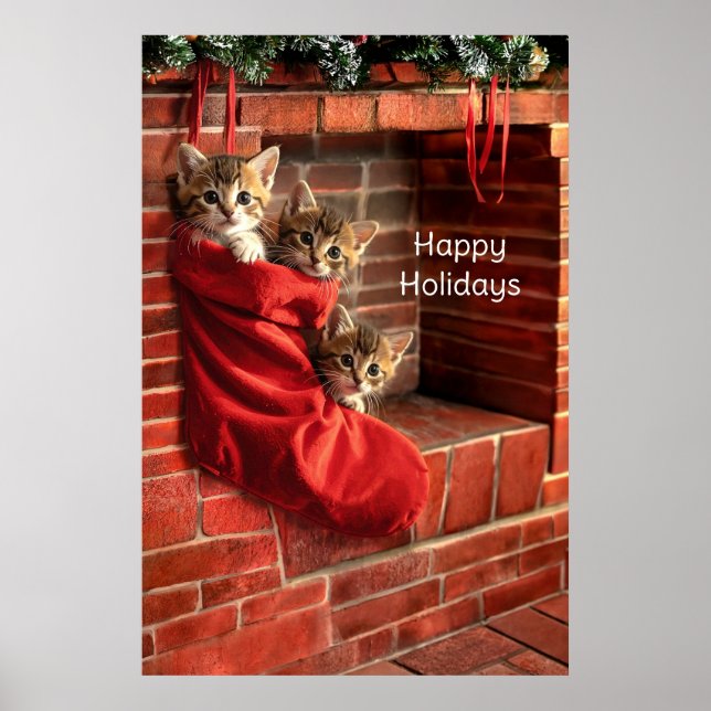 Three kittens in a Christmas Stocking Poster (Front)