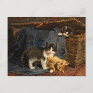 Three Kittens   Julius Adam the Younger Postcard