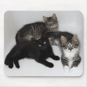 Three Kittens Mouse Pad