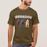 three labrador colours