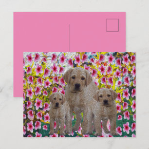 Three Labrador Puppies Oil Painted, Holiday Postcard