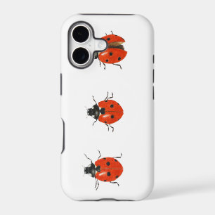 Three ladybirds 2013