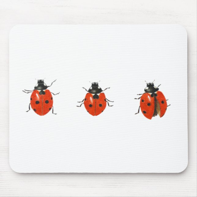 Three ladybirds 2013 mouse pad (Front)