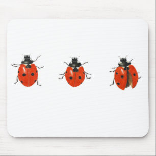 Three ladybirds 2013 mouse pad