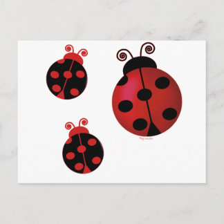 Three Ladybugs Postcard
