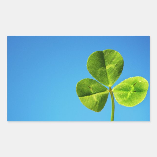 three leaved clover rectangular sticker (Front)