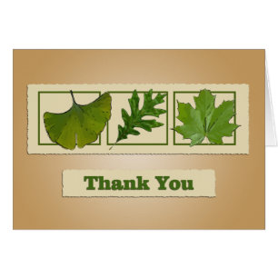 Three Leaves Thank You Card
