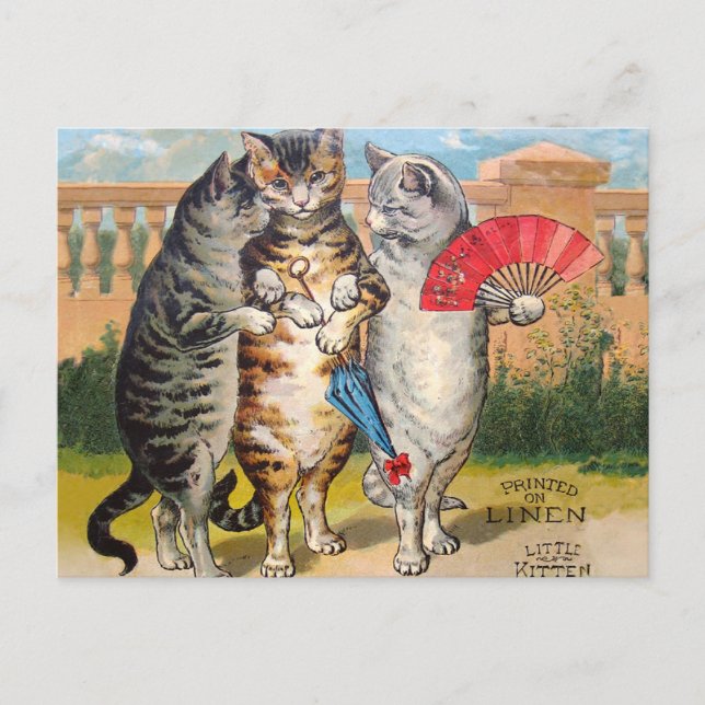 Three Little Kittens Mother Goose Illustration Postcard (Front)