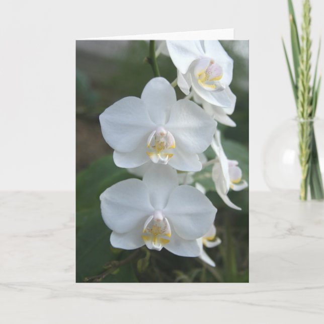 Three Little Maids Greeting Card (Front)