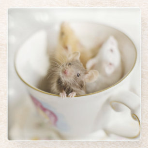 Three Little Mice Glass Coaster