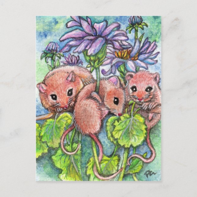 Three Little Mice Postcard (Front)