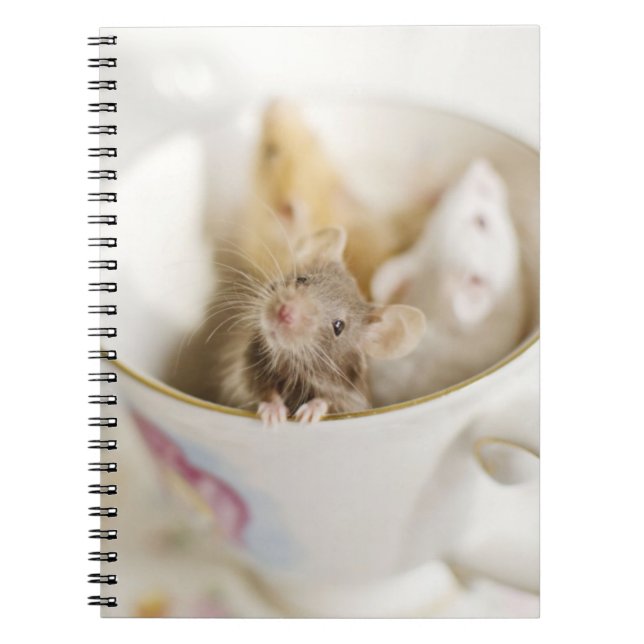 Three Little Mice Spiral Notebook (Front)