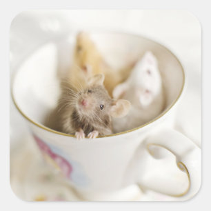 Three Little Mice Square Sticker