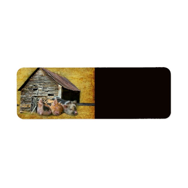 Three Little Pigs At The Rustic Barn Snoozing (Front)