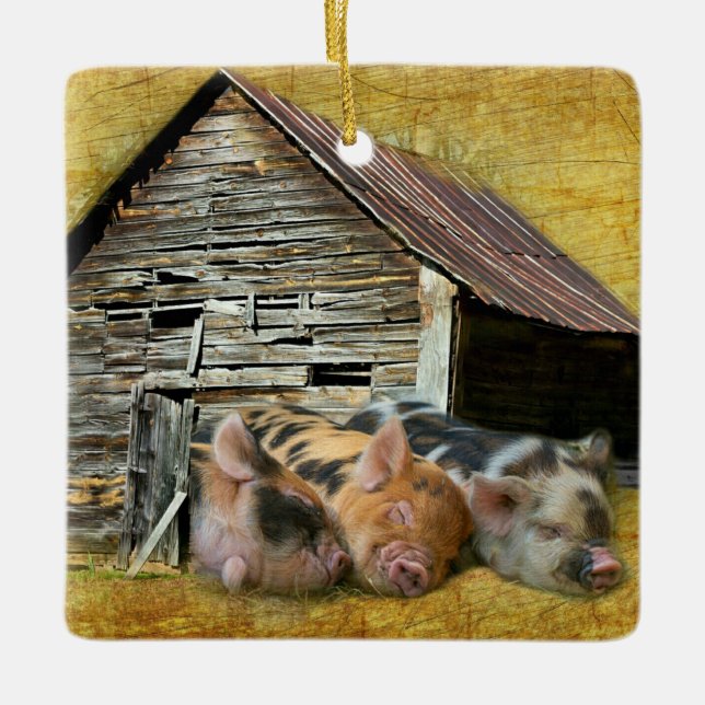 Three Little Pigs At The Rustic Barn Snoozing Ceramic Ornament (Front)