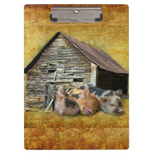 Three Little Pigs At The Rustic Barn Snoozing Clipboard