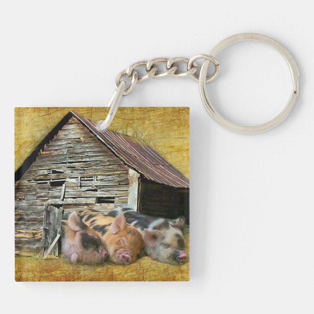 Three Little Pigs At The Rustic Barn Snoozing Key Ring (Back)