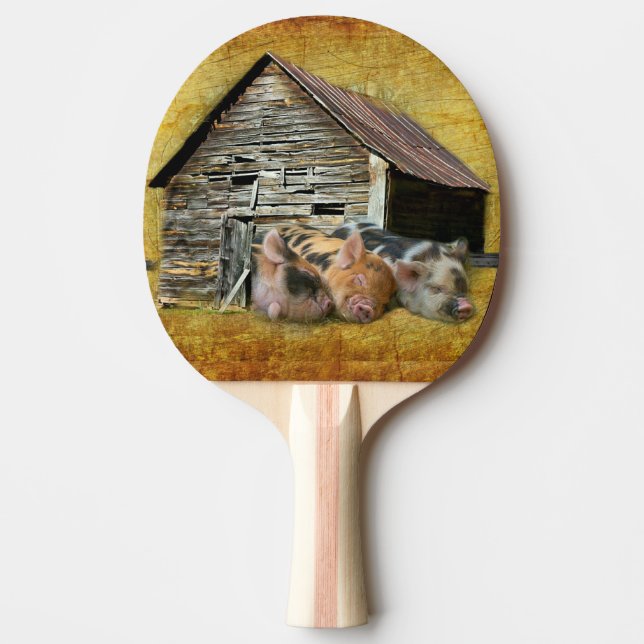 Three Little Pigs At The Rustic Barn Snoozing Ping Pong Paddle (Front)