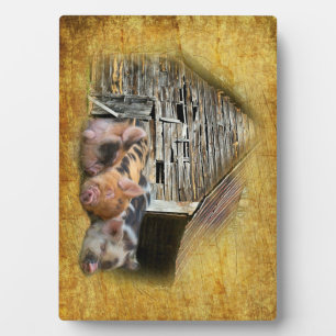 Three Little Pigs At The Rustic Barn Snoozing Plaque