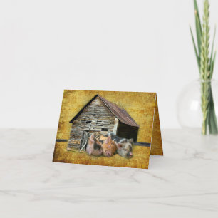 Three Little Pigs At The Rustic Barn Snoozing Thank You Card