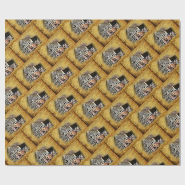 Three Little Pigs At The Rustic Barn Snoozing Wrapping Paper (Flat)