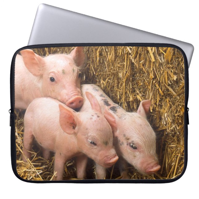 Three Little Pigs Laptop Sleeve (Front)
