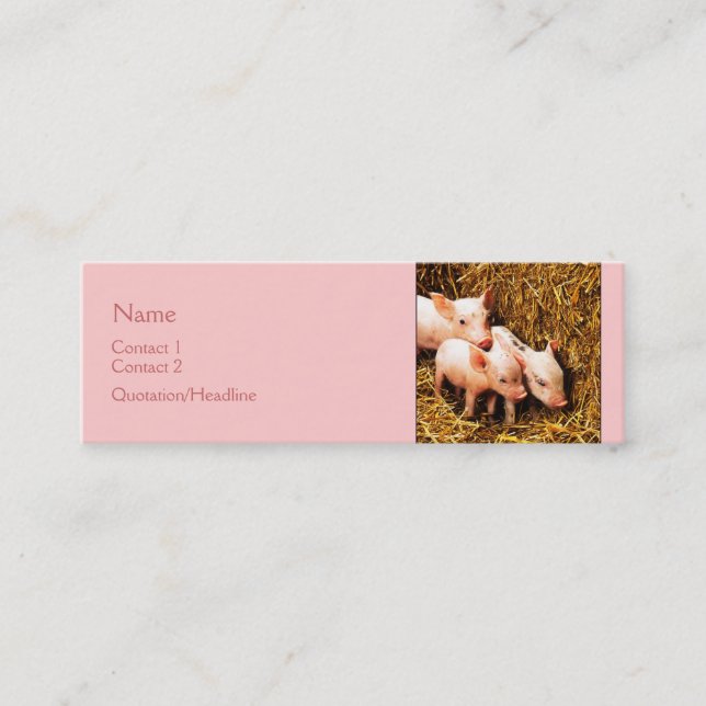 Three Little Pigs Mini Business Card (Front)