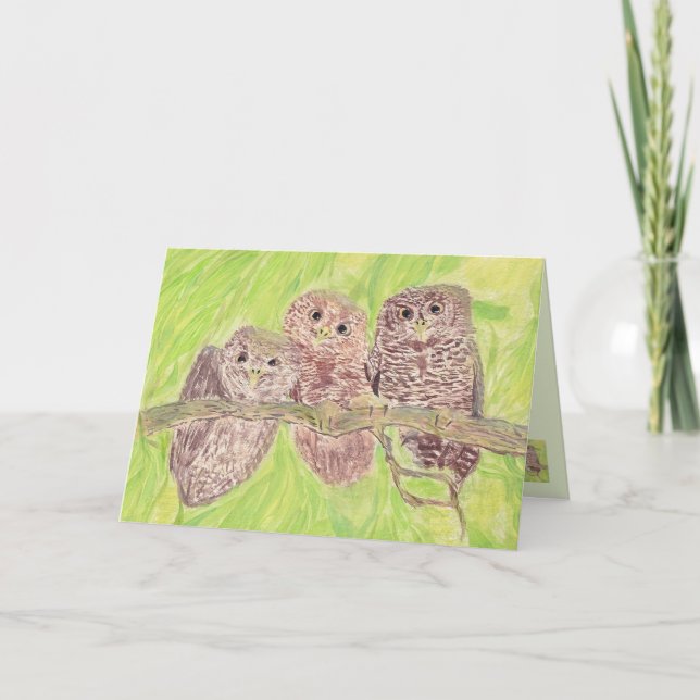 Three Little Scowling Owls - acrylic painting. Card (Front)