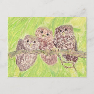 Three Little Scowling Owls - acrylic painting. Postcard