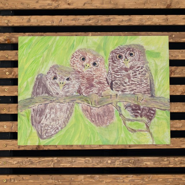 Three Little Scowling Owls - acrylic painting.    Poster (Creator Uploaded)