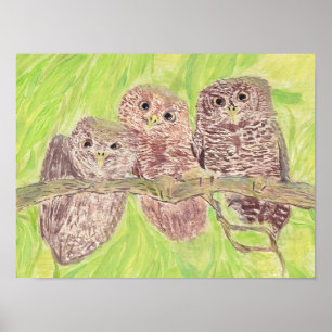 Three Little Scowling Owls - acrylic painting. Poster