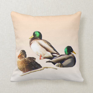 Three Mallard Ducks Cushion