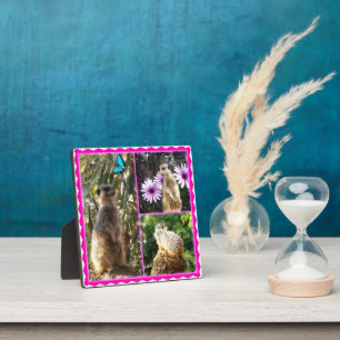 Three Meerkat Photo Collage, Photo Plaque