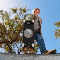 Three Meerkat Photos, Complete Skateboard
