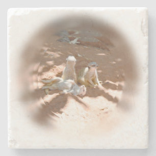 Three Meerkats Fun In The Sun, Stone Coaster