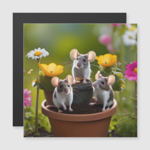 Three Mice In Flower Pots,