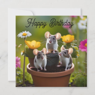 Three Mice In Flower Pots,