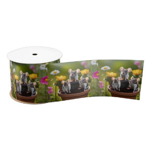 Three Mice In Flower Pots, Satin Ribbon