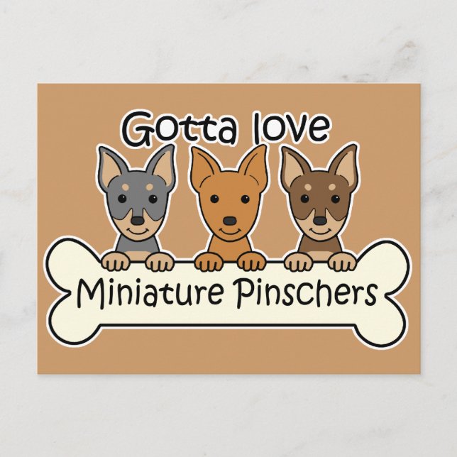 Three Miniature Pinschers Postcard (Front)