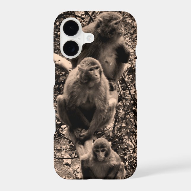 Three Monkeys (Back)