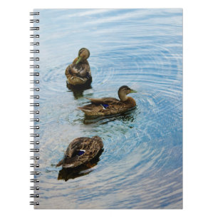 Three Notebook