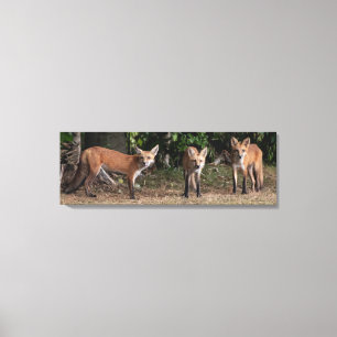 Three Of A Kind Canvas Print