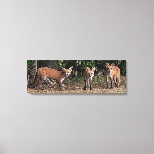 Three Of A Kind   Canvas Print (Front)