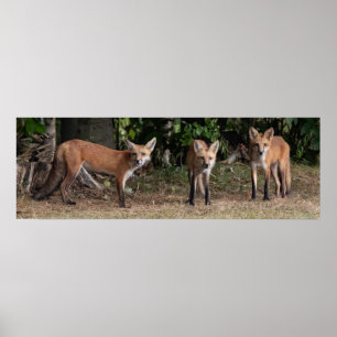 Three Of A Kind  Poster