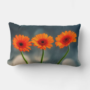 Three Orange Gerberas in a Row Lumbar Cushion