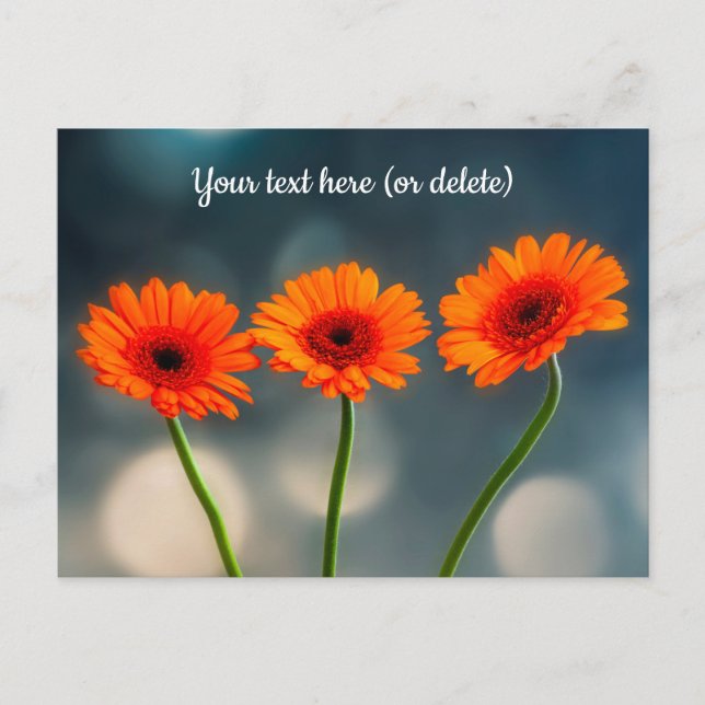 Three Orange Gerberas in a Row Postcard (Front)