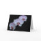 Three Orchid Greeting Cards