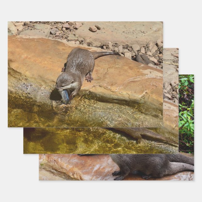 Three Otter, Gift Wrapping, Decoupage, Sheets, Wrapping Paper Sheet (Set)