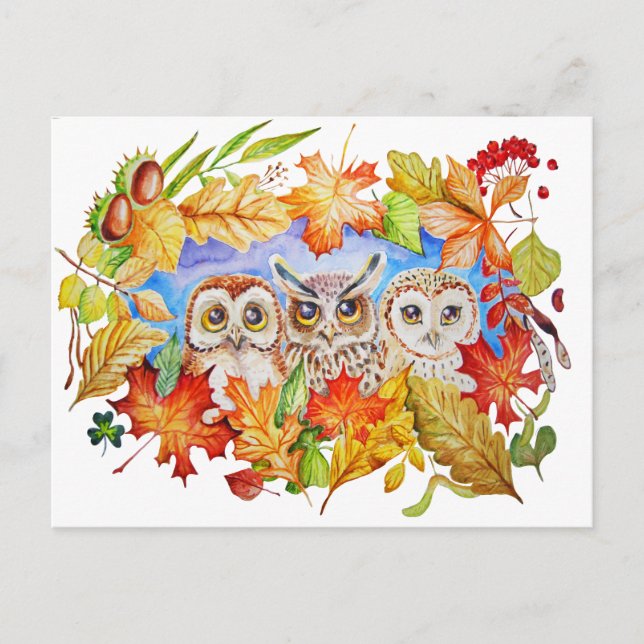 three owls autumn postcard (Front)