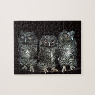 three owls jigsaw puzzle